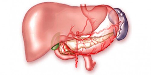 Autoimmune hepatitis: Medical treatment & Alternatives