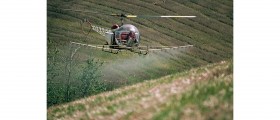Could Glyphosate, Key Ingredient In Roundup Herbicide, Cause Infertility Or Cancer?