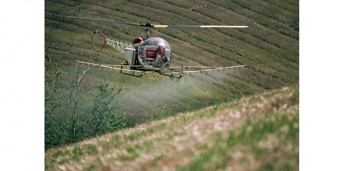 Could Glyphosate, Key Ingredient In Roundup Herbicide, Cause Infertility Or Cancer?