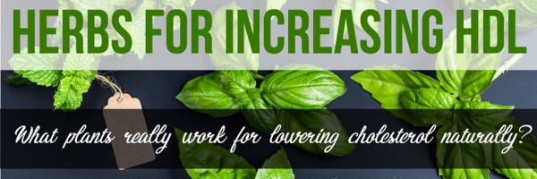 Herbs for Increasing HDL and Improving LDL: Lowering Cholesterol Naturally With Plants