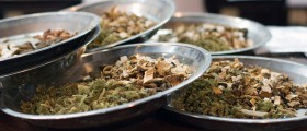 10 Herbs For The Heart