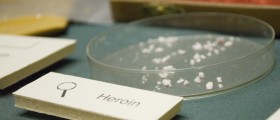 Mexican Scientists Discover A Vaccine That Could Cut Heroin Addiction