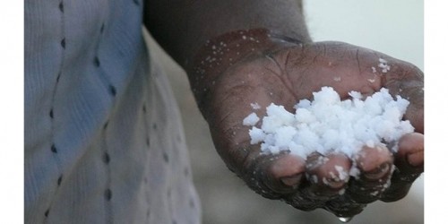 Not All Salt Is The Same. Which Is The Healthiest?