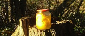 Keeping Your House Clean And Your Body Healthy With Natural Products