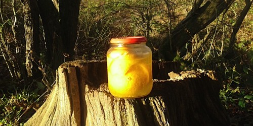 Keeping Your House Clean And Your Body Healthy With Natural Products