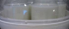 Fighting Gum Disease With Yogurt