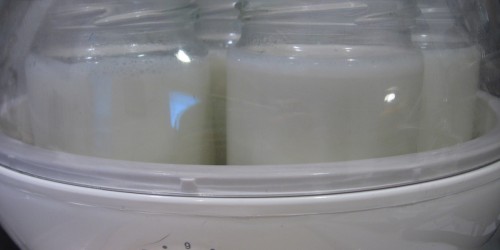 Fighting Gum Disease With Yogurt