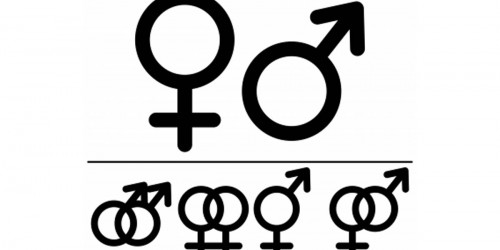 I Just Found out my Child is Homosexual