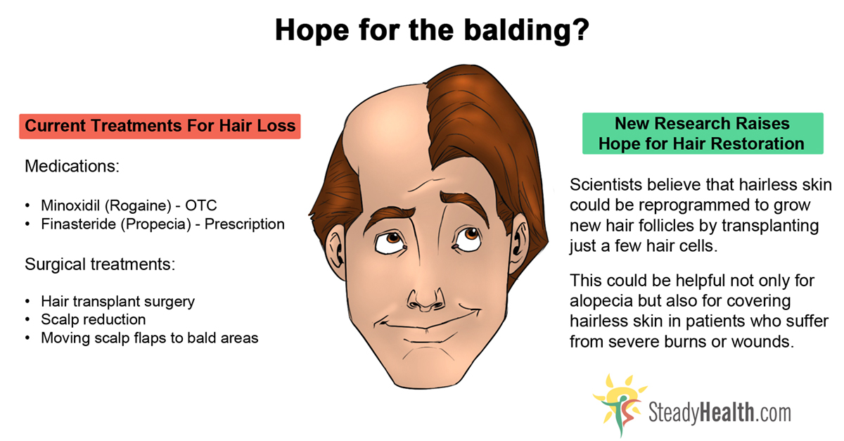 Scientists Find New Hope For Balding Problems Skin