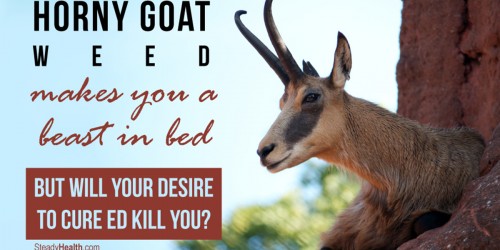 Horny Goat Weed Makes You A Beast In Bed, But Will Your Desire To Cure ED Kill You?