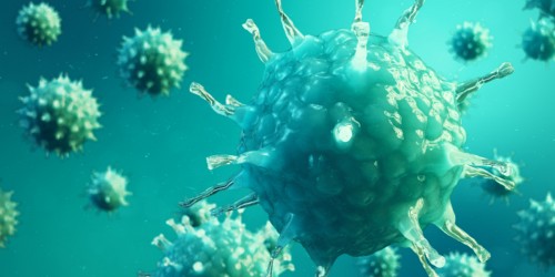 How Can Viral Hepatitis Be Spread And What Can You Do To Avoid It?