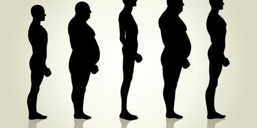 How Do Bone Structure And Body Weight Increase Your Risk Of Being Diagnosed With Osteoporosis?