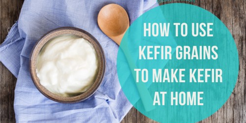 How To Use Kefir Grains To Make Kefir At Home For A Healthier And Tastier Life