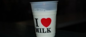 Milk Diet And Weight Loss: How It Works And What Can Be Achieved?