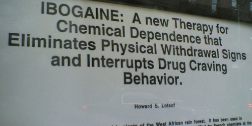 Ibogaine: Drug Addiction Cure Or Natural Born Killer?