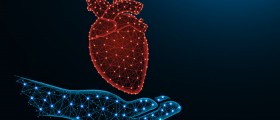 What's The Link Between Ischemic Heart Disease (Myocardial Ischemia) And Heart Attack?