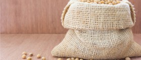 Soy Allergy Overview: Triggers, Symptoms, and Treatments