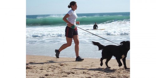 Exercise May Be As Effective As Drug Therapy For Common Chronic Diseases