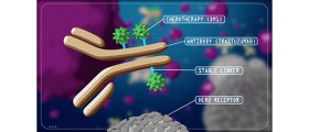 Kadcyla: A Breast Cancer Medication That Targets Tumor Cells While Sparing Healthy Ones Approved