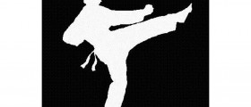 Martial Arts in Western Culture