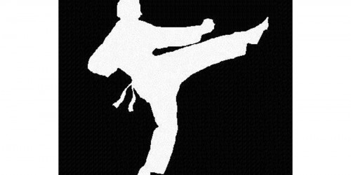 Martial Arts in Western Culture