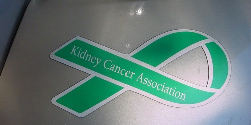 Kidney Cancer, Once Inevitably Fatal, Now May Be Curable with IL-2