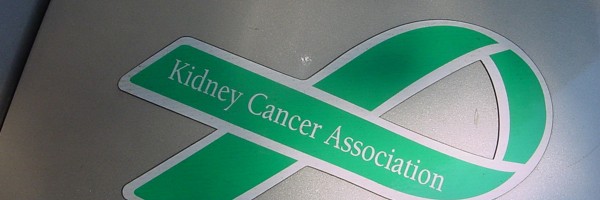 Kidney Cancer, Once Inevitably Fatal, Now May Be Curable with IL-2