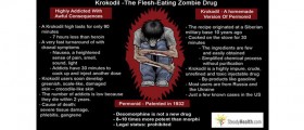 Krokodil, The World's Most Dangerous Drug