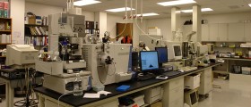 Top Medical Breakthroughs Of 2010