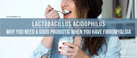 Lactobacillus Acidophilus: Why You Need A Good Probiotic Supplement When You Have Fibromyalgia