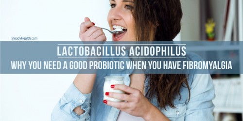 Lactobacillus Acidophilus: Why You Need A Good Probiotic Supplement When You Have Fibromyalgia