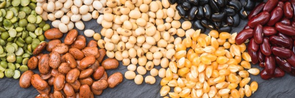 How Phytosterols Affect High Cholesterol: Are Plant Sterols And Stanols Safe?