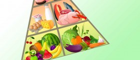 Low-carb diet fact sheet