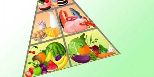 Low-carb diet fact sheet