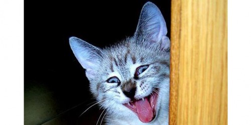 Laughter Is The Best Medicine: 6 Health Benefits Of Laughter