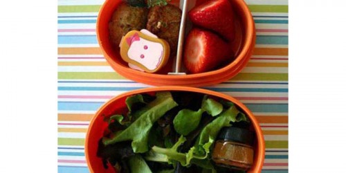 If You are Packing Lunch for Your Kid, It is Very Possible Snack is Kept at Unsafe Temperatures