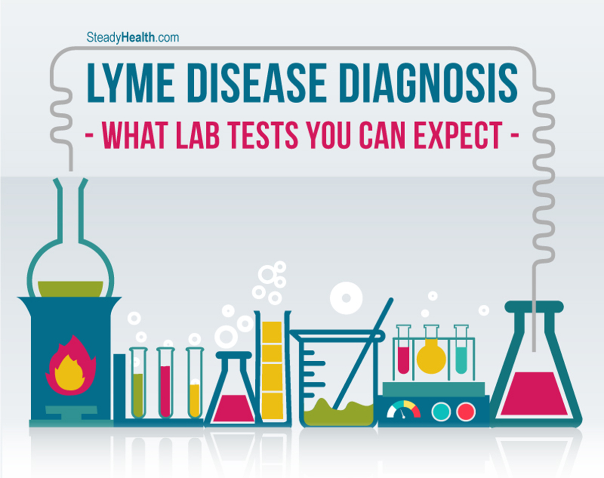 lyme-disease-diagnosis-what-lab-tests-you-can-expect-nervous-system