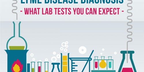Lyme Disease Diagnosis: What Lab Tests You Can Expect