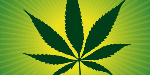 Coffee Pot: What Happens When You Combine Marijuana and Caffeine?