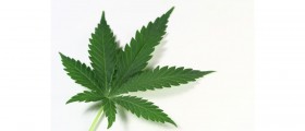 Addicted to Cannabis: Marijuana Addiction Treatment