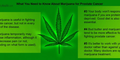 Does Marijuana Cure Prostate Cancer?