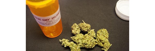 The State (And States) Of Medical Marijuana In 2013