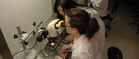 Breakthrough Replicates Human Brain Cells For Alzheimer's Research
