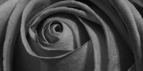 Infertility Problems: Trying To Conceive After A Miscarriage