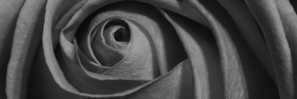 Infertility Problems: Trying To Conceive After A Miscarriage
