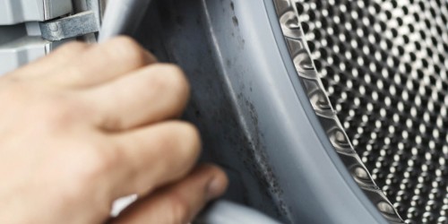 Mold Allergy: Causes, Symptoms, Treatment And Prevention