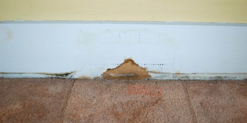 Winter: Are Cold, Damp, And Mold Making Your Home A Health Hazard?