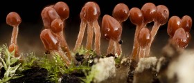 Don't Let Fear Of Toxins Scare You Into Unnecessary Tests And Treatments