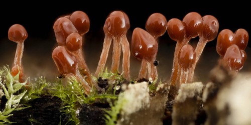 Don't Let Fear Of Toxins Scare You Into Unnecessary Tests And Treatments