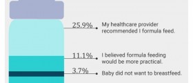 Montenegro: Patriarchal Attitudes And Poor Health Care Overshadow Moms' Breastfeeding Experiences